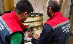Aydın’da yem denetimi