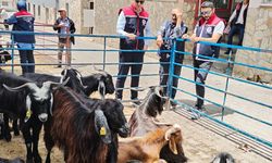 Bozdoğan'da kurban satış yerleri denetlendi