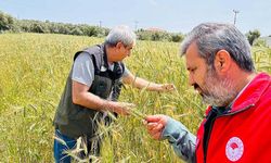 Ekipler hastalık ve süne için bölgeye gitti