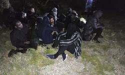 Erkek kadın otların arasında yakalandılar