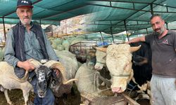 Kurbanlıkların yanına yaklaşılmıyor