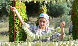 Nazilli'de kurutmalık sebze oymacılığı "bacasız fabrikaya" dönüştü