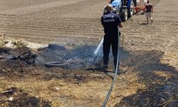 Efeler’de arazi yangını büyümeden söndürüldü
