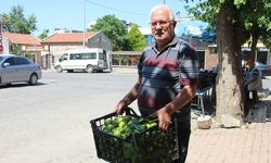 Aydın’da bu pazarda meyve değil sinek satılıyor