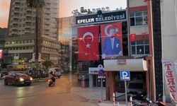 Aydın’da ilçe belediyeleri sokak hayvanları için hiçbir çalışma yapmıyor