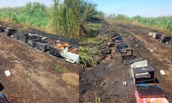 Aydın’da ot yangını arı kovanlarına sıçradı, binlerce arı telef oldu