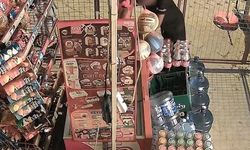 Aydın’da yaşandı.. Marketin kapısını kırarak girip talan ettiler
