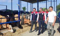 Bakanlık destekliyor, Aydın’da üretim gücü artıyor