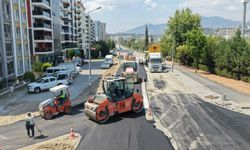 Çerçioğlu’nun talimatıyla Aydın’ın 17 ilçesinde eş zamanlı çalışma