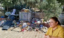 Çöp, koku, sinek... Didim’de hayat kabusa döndü