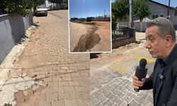 Efeler çöp, çukur ve çamura mahkum! CHP’li Yetişkin mikrofonu bırak, işine bak