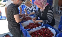 Kiraz yüzleri güldürdü