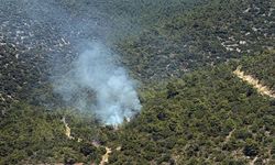 Milas Kazıklı Koyu'nda yangın çıktı