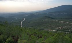 Ormanlara giriş yasaklandı