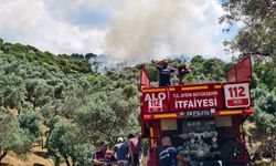 Zeytinlik alanda çıkan yangına Aydın Büyükşehir Belediyesi İtfaiyesi’nden hızlı müdahale