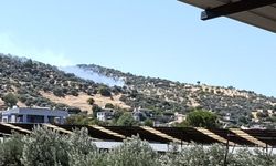 Bozdoğan’da yangın çıktı