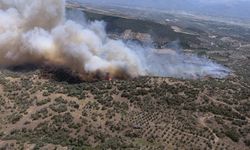 Aydın Bozdoğan’da yangın çıktı