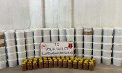 Aydın’da 4 ton salça, 300 kilo zeytin yakalandı