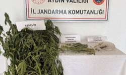 Aydın’da operasyon