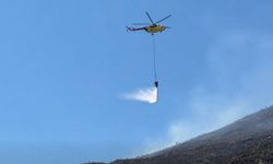Aydın’da yangın çıktı