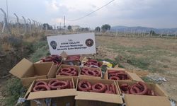 Aydın’da yine yangın çıktı