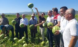 Aydın’ın meşhur karpuzunda hasat heyecanı