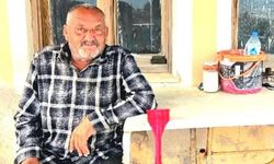 Ayı saldırısına uğrayan yaşlı adam hayatını kaybetti
