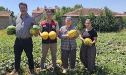 Bu kavunun tadı bir başka