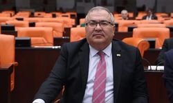 Bülbül logo bu değil dedi