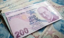 Devlet desteğinde yeni ödeme günü.. Binlerce lira hesaplara yatırıldı