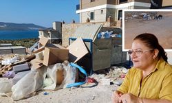 Didim’de çöpler toplanmıyor, yaban domuzları mahalleleri mesken tutuyor