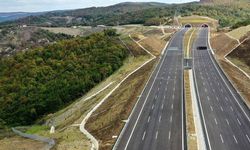 İzmir-Aydın Otoyolu kenarı alev alev.. Ekiplerin müdahalesi sürüyor