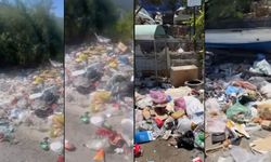 Kuşadası çöpe teslim: Turizm cennetinde konteynerler taştı, vatandaş isyan etti