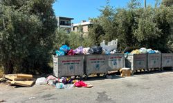 Kuşadası’nı çöp götürüyor: Konteynerler taştı, sokaklar mikrop yuvasına döndü