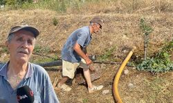 Zeytinlikleri kül oldu, gözyaşını içine akıtıp yangına su taşıdı