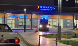 24 yaşındaki genç yaralı olarak bulundu