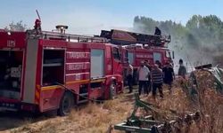 Yangında 400 balya saman kül oldu