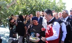 Bakan Yumaklı Aydın'da incir hasadına katıldı