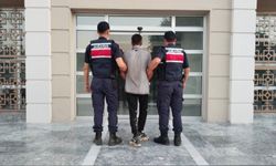 Aydın Germencik’te incir bahçesinde basıldı