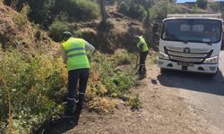 Başkan Çerçioğlu öncülüğünde yeşil alanlarda kapsamlı bakım ve düzenleme çalışması