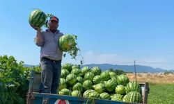 'Bu fiyata satmam' dedi! Üreticinin karpuz için bulduğu çözüm şaşırttı