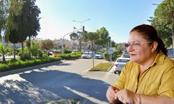 Didimliler çileden çıktı: İlaçlama yetersiz, sivrisinek istilası var