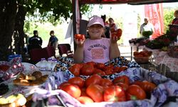 Domates üreticileri 'tarla günü' etkinliğinde buluştu