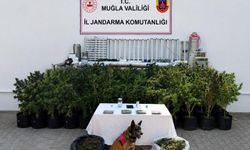 Evde basıldılar.. Neler çıktı neler