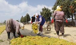 Günlük ücret 1750 TL olarak belirlendi