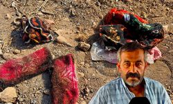 Nişanlı torunlarının hayalleri de kül oldu