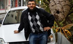 Kimse böyle biteceğini tahmin etmedi.. Eşek arıları can aldı