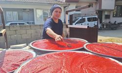 Kışlık salça hazırlıkları başladı