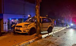 Kontrolden çıkan otomobil ağaca çarptı