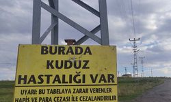 Kuduz nedeniyle bir mahalle karantinaya alındı.. Giriş-çıkışlar yasaklandı